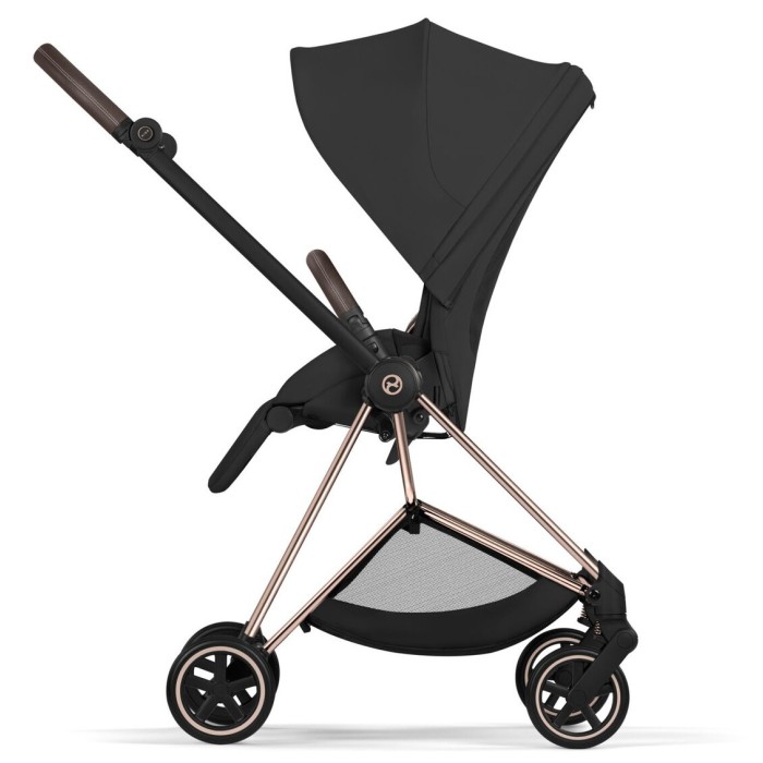 Візок Mios 2 в 1 RG Sepia Black
