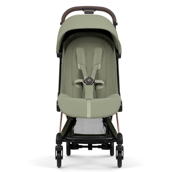 Візочок Coya Style RG Sage Green