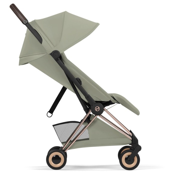 Візочок Coya Style RG Sage Green