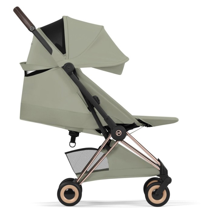 Візочок Coya Style RG Sage Green