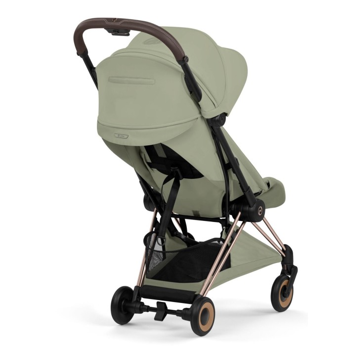 Візочок Coya Style RG Sage Green