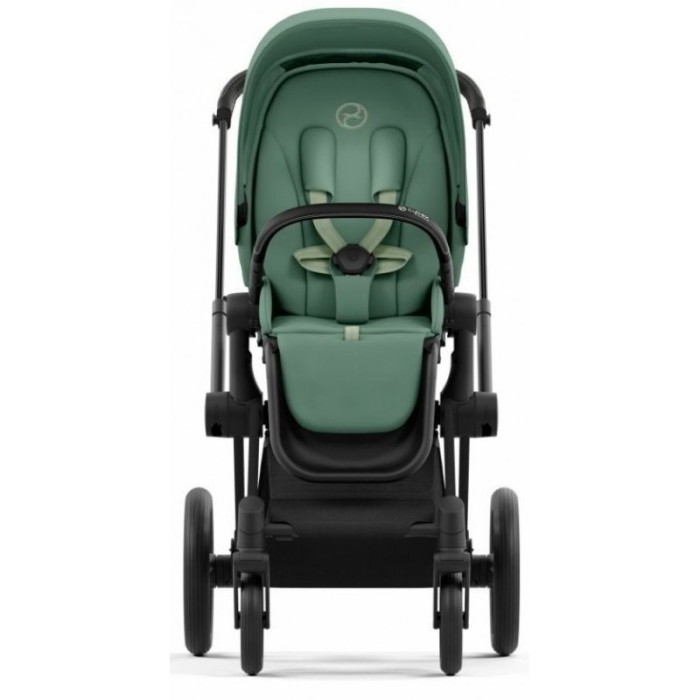 Cybex Priam 4.0 коляска 2 в 1 Leaf Green шасі Matt Black