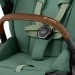 Коляска Cybex Priam 4.0 3 в 1 Leaf Green шасі Rosegold