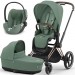 Коляска Cybex Priam 4.0 3 в 1 Leaf Green шасі Rosegold