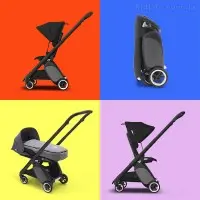 Bugaboo ant color online
